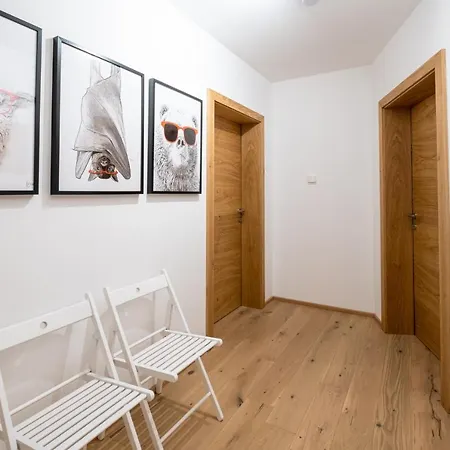 Taja Paznaun Penthouse Appartamento See