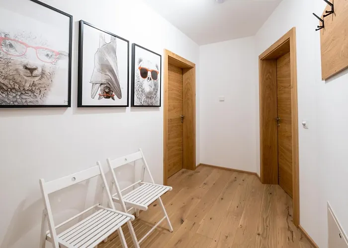 Taja Paznaun Penthouse アパート ゼー