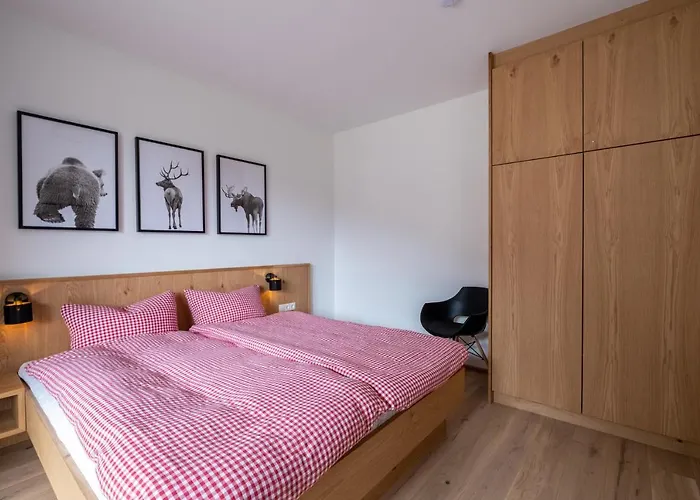 Taja Paznaun Penthouse アパート ゼー